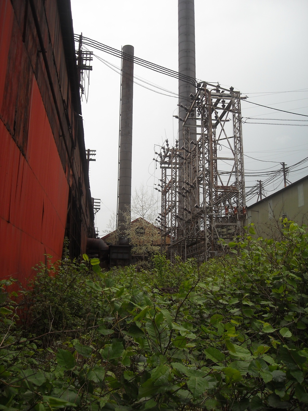 Archillect ID 405874