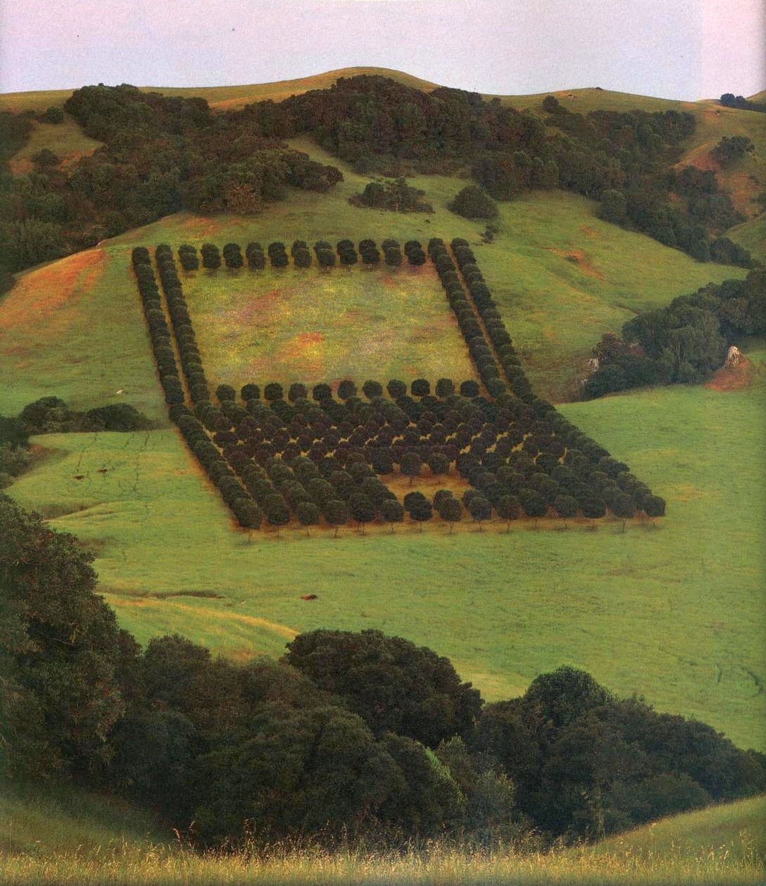 Archillect ID 406035