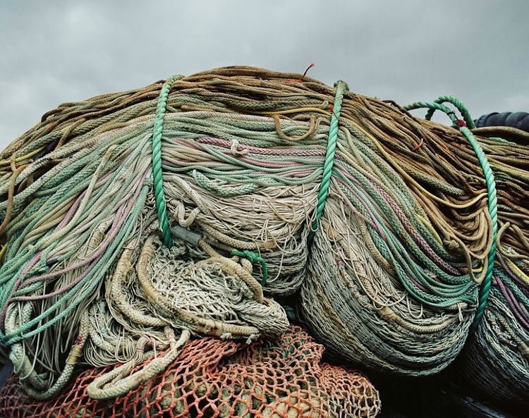 Archillect ID 406048