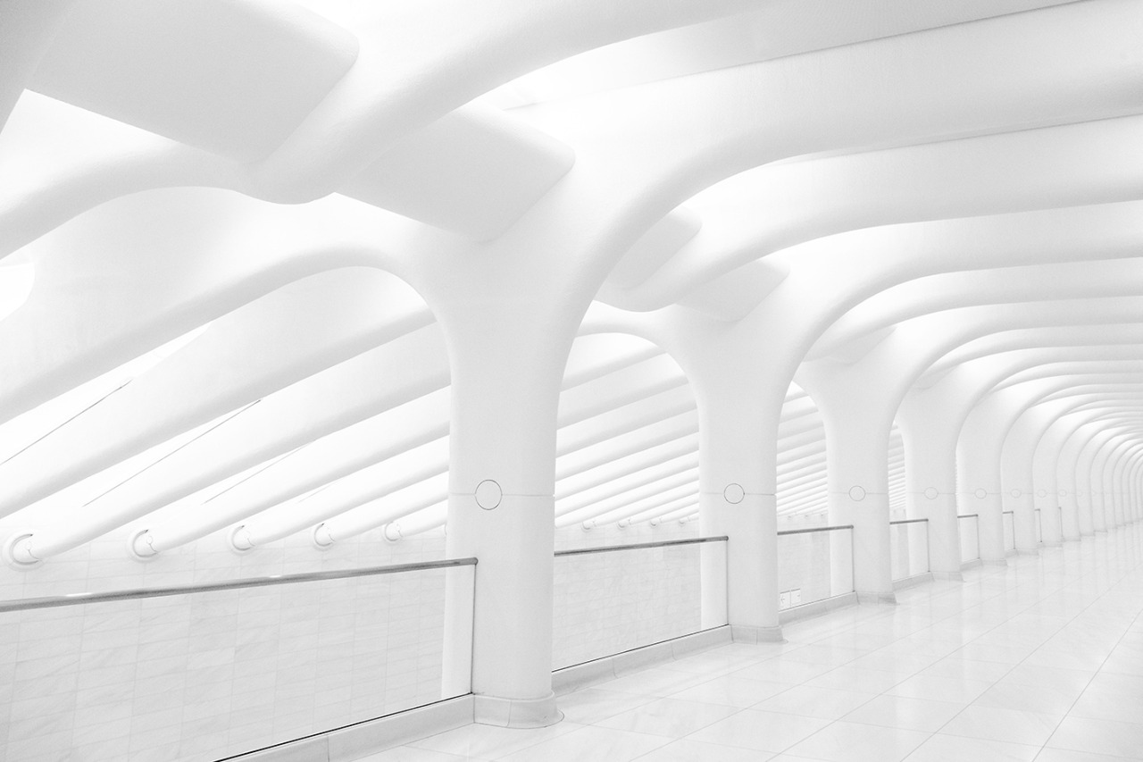 Archillect ID 406081