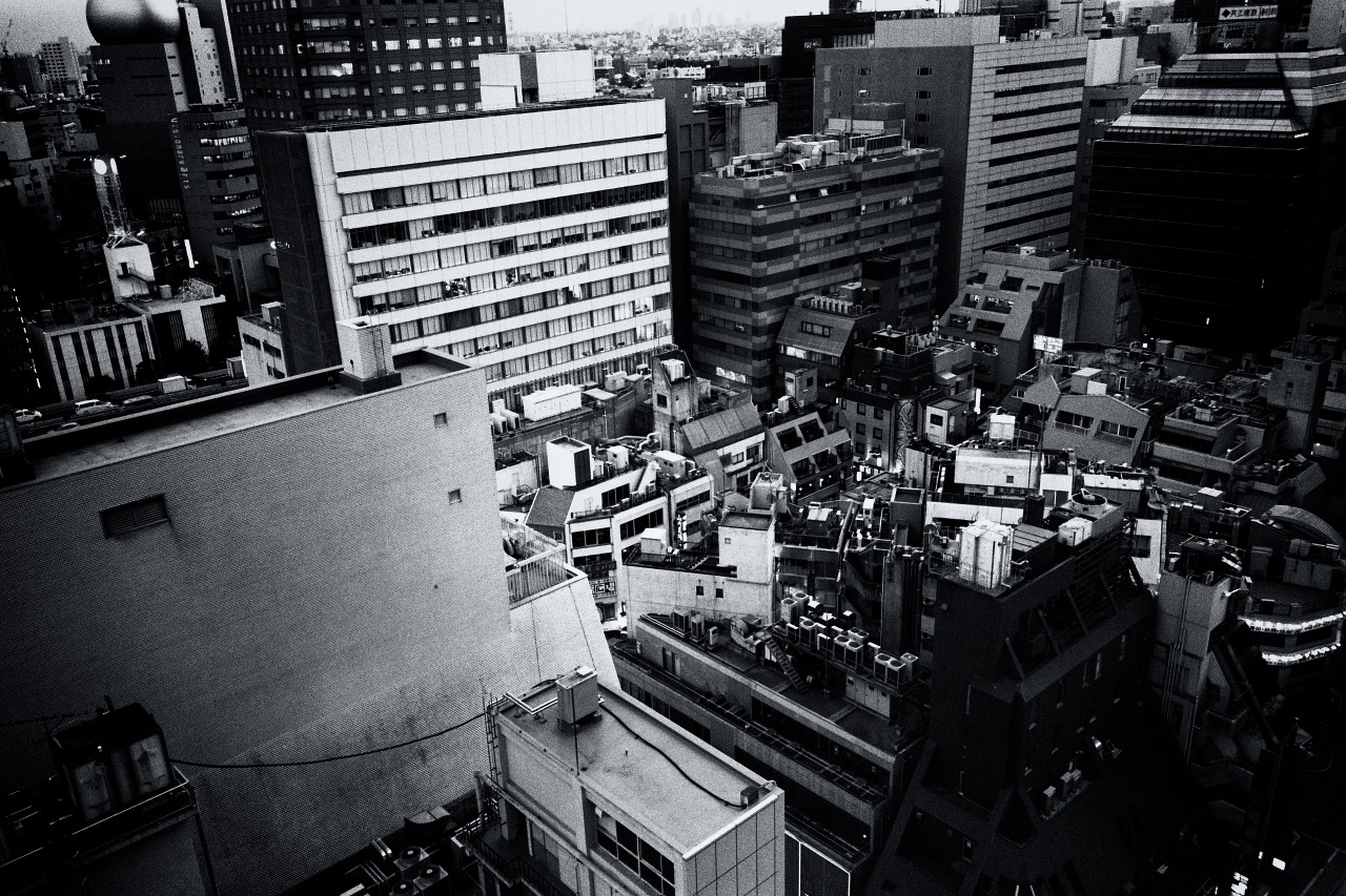 Archillect ID 406089