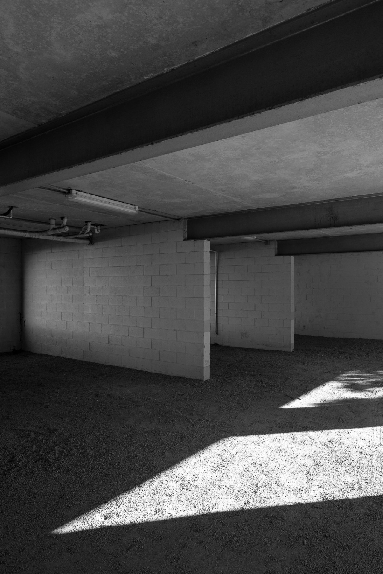 Archillect ID 406117