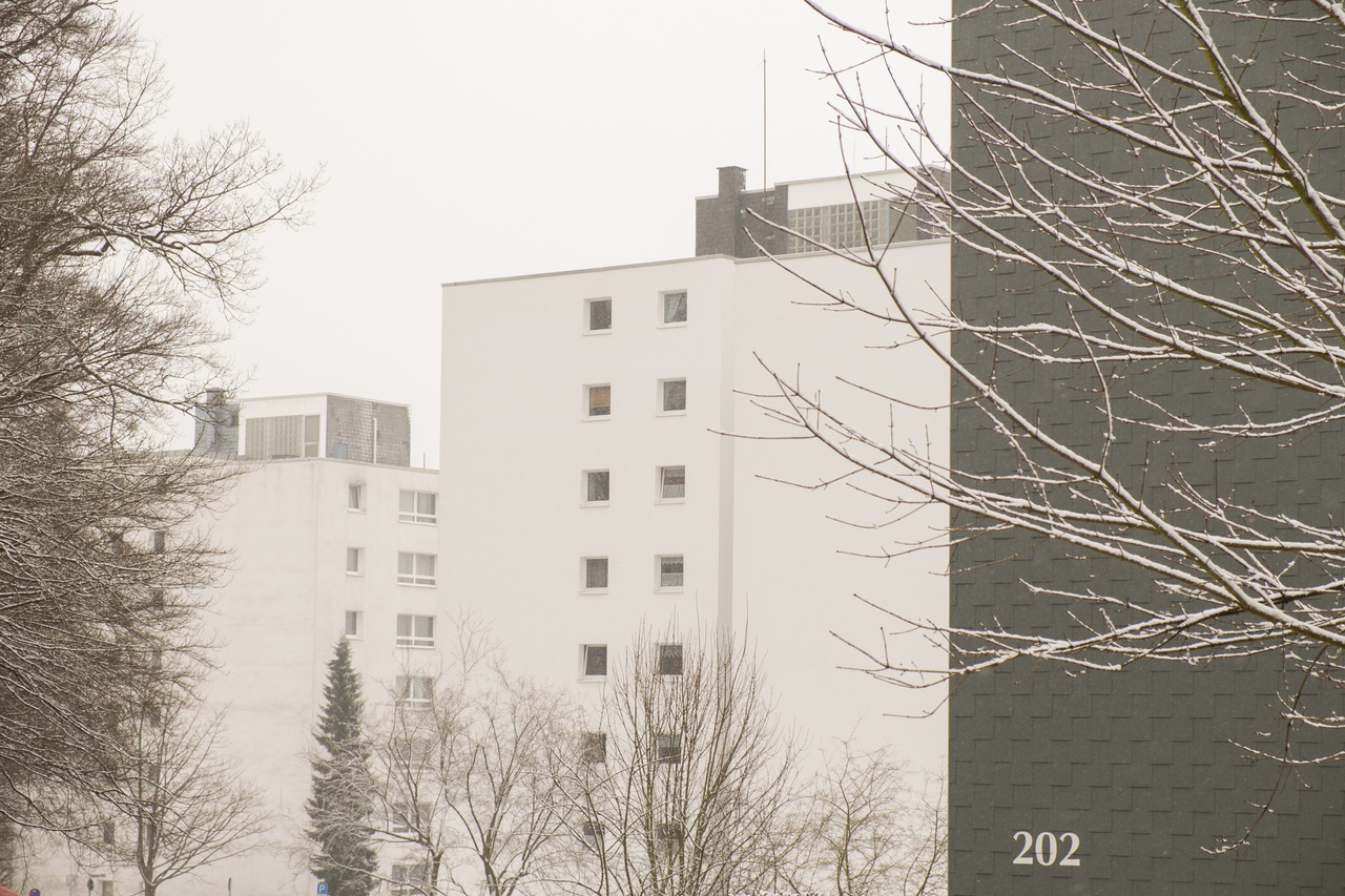 Archillect ID 406135