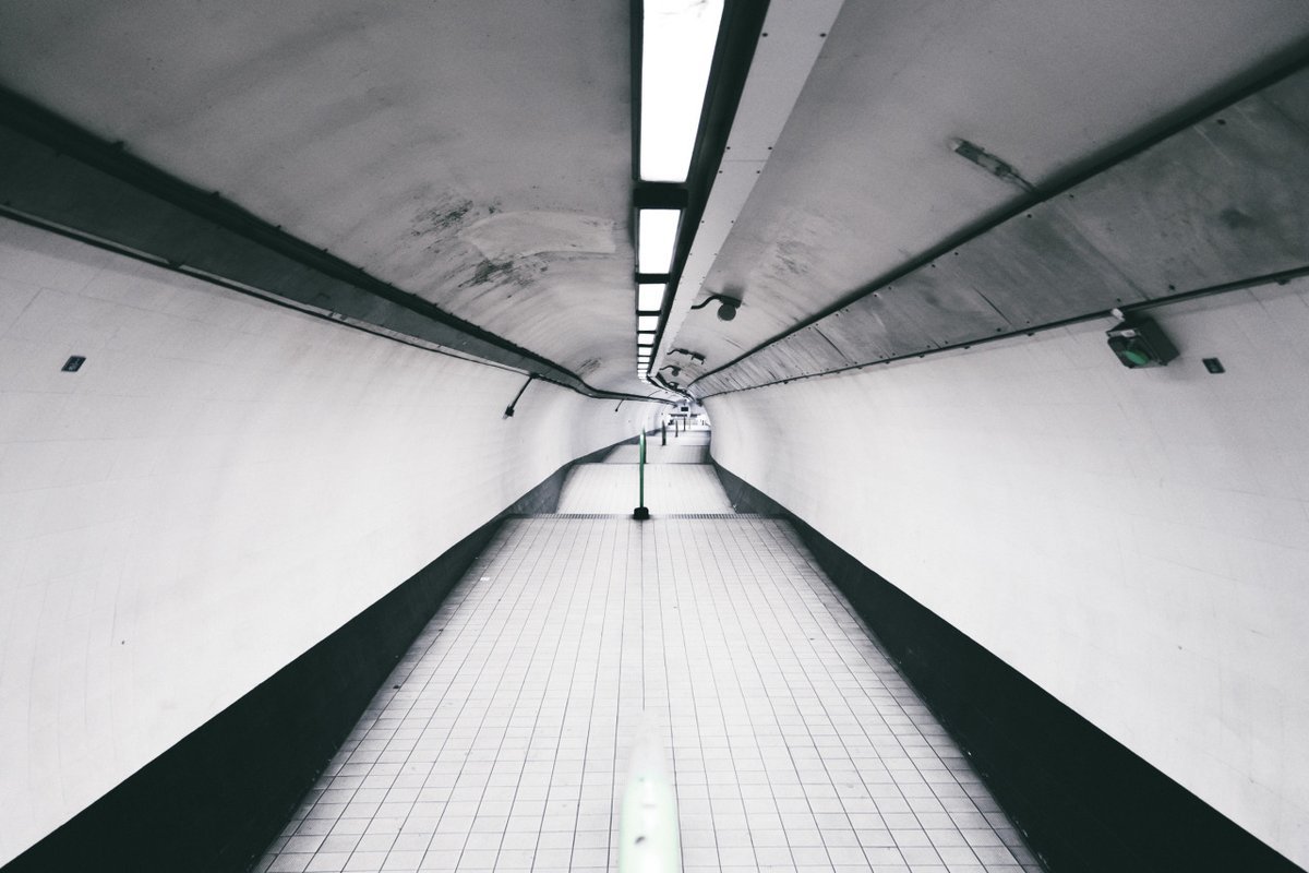 Archillect ID 406170