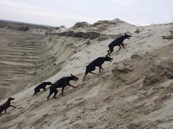 Archillect ID 406171