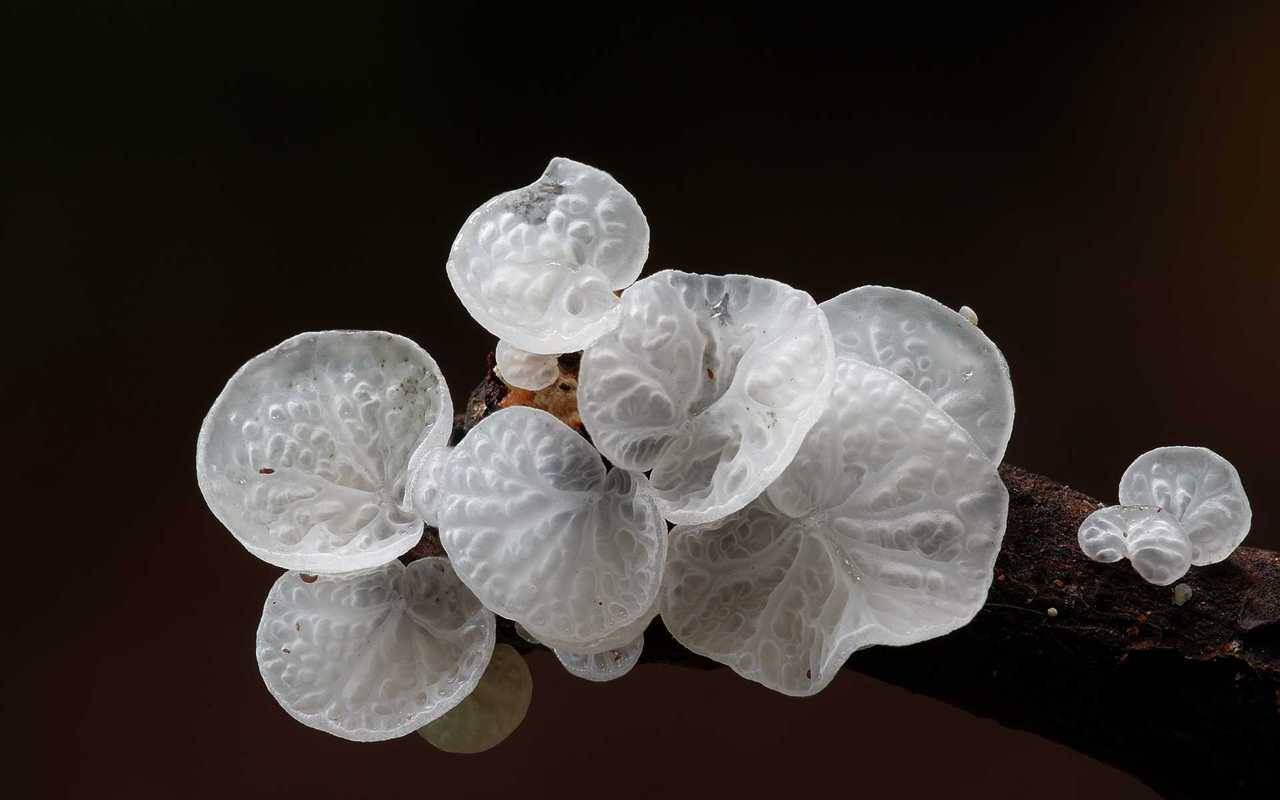 Archillect ID 406179