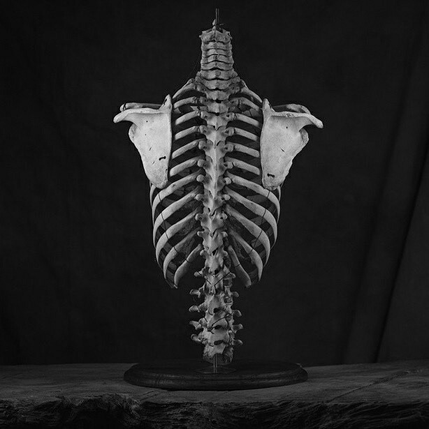 Archillect ID 406180