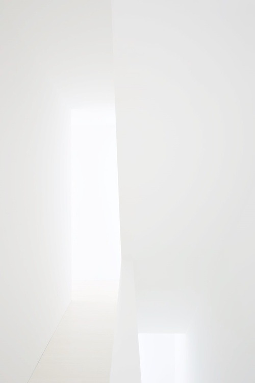 Archillect ID 406194