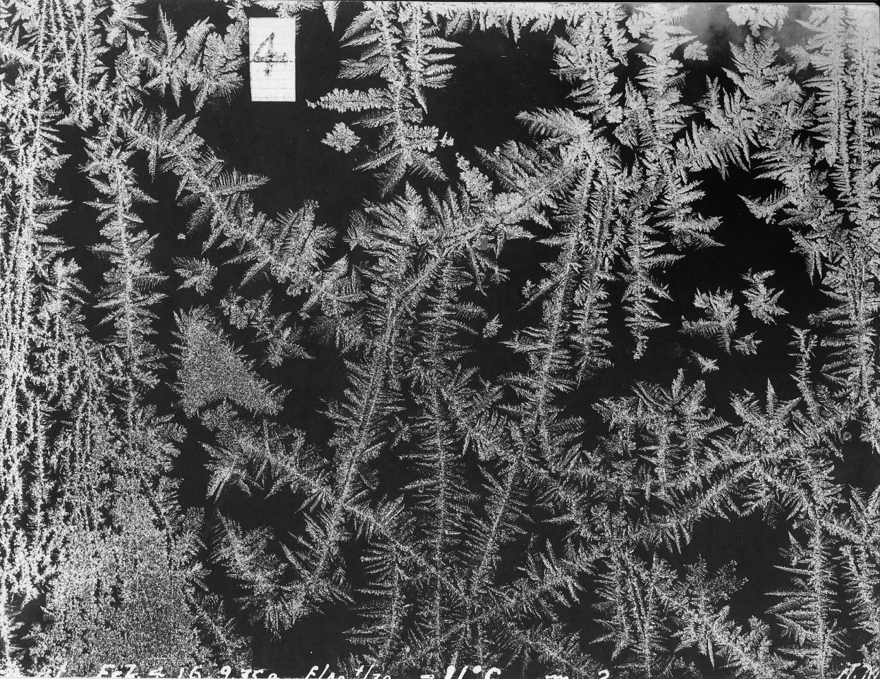 Archillect ID 406208