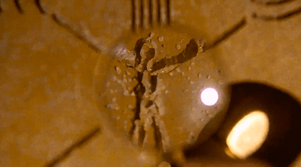 Archillect ID 406241