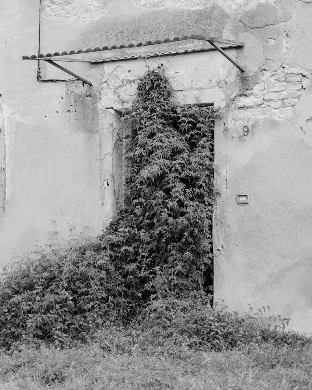 Archillect ID 406263