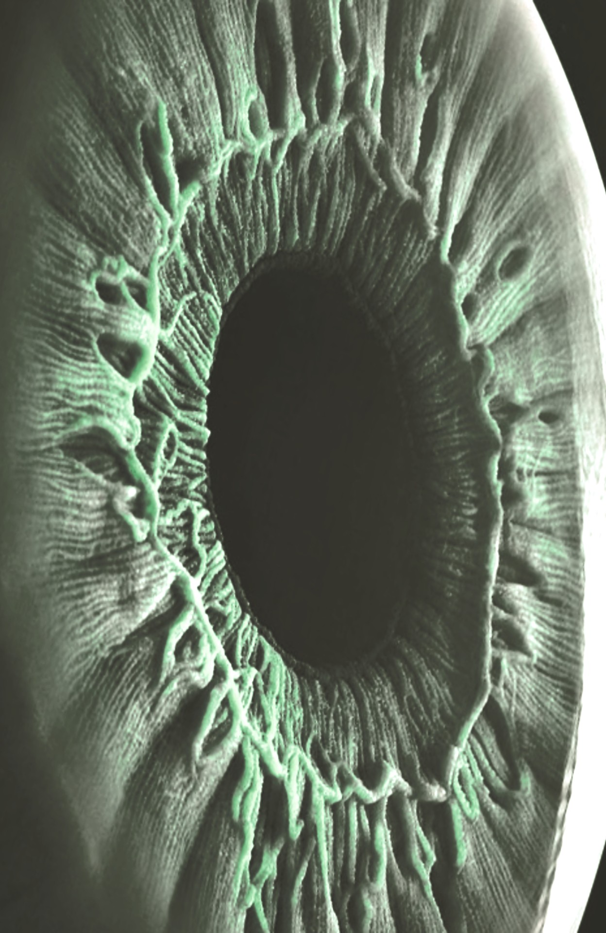 Archillect ID 406312