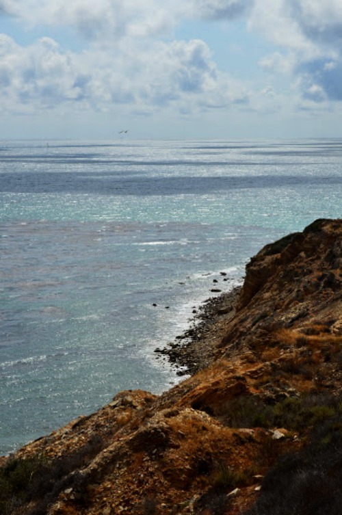 Archillect ID 406355