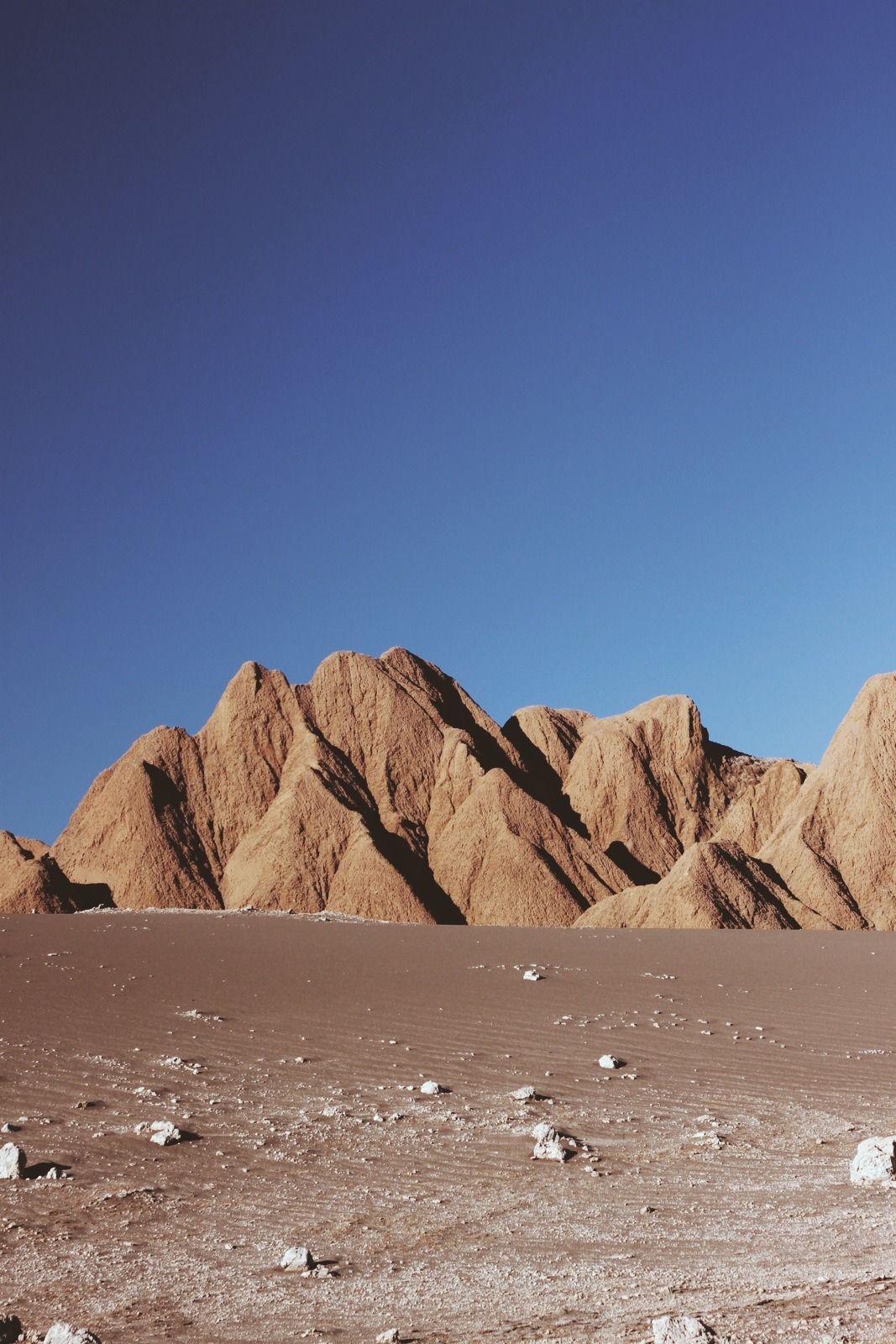 Archillect ID 406378