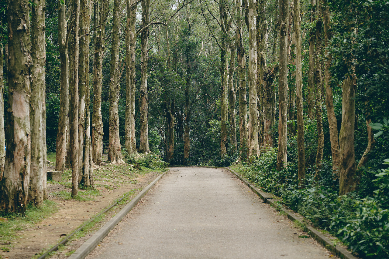 Archillect ID 406381