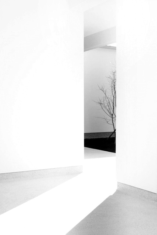 Archillect ID 406396