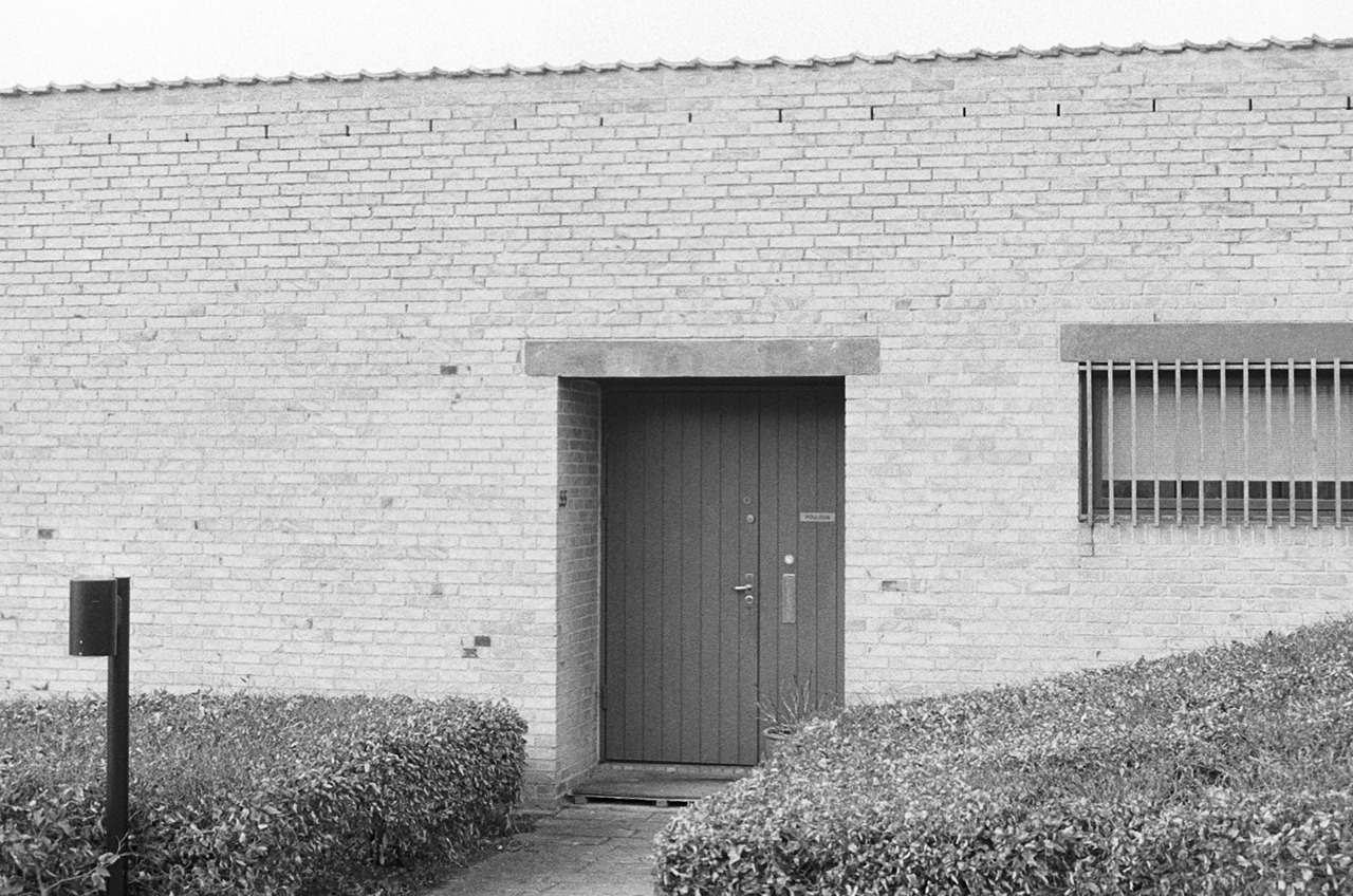 Archillect ID 406432