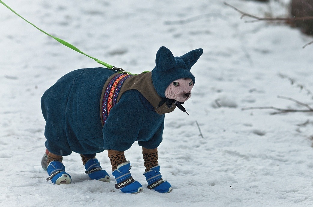 Archillect ID 406463