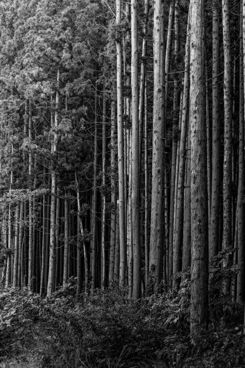 Archillect ID 406470