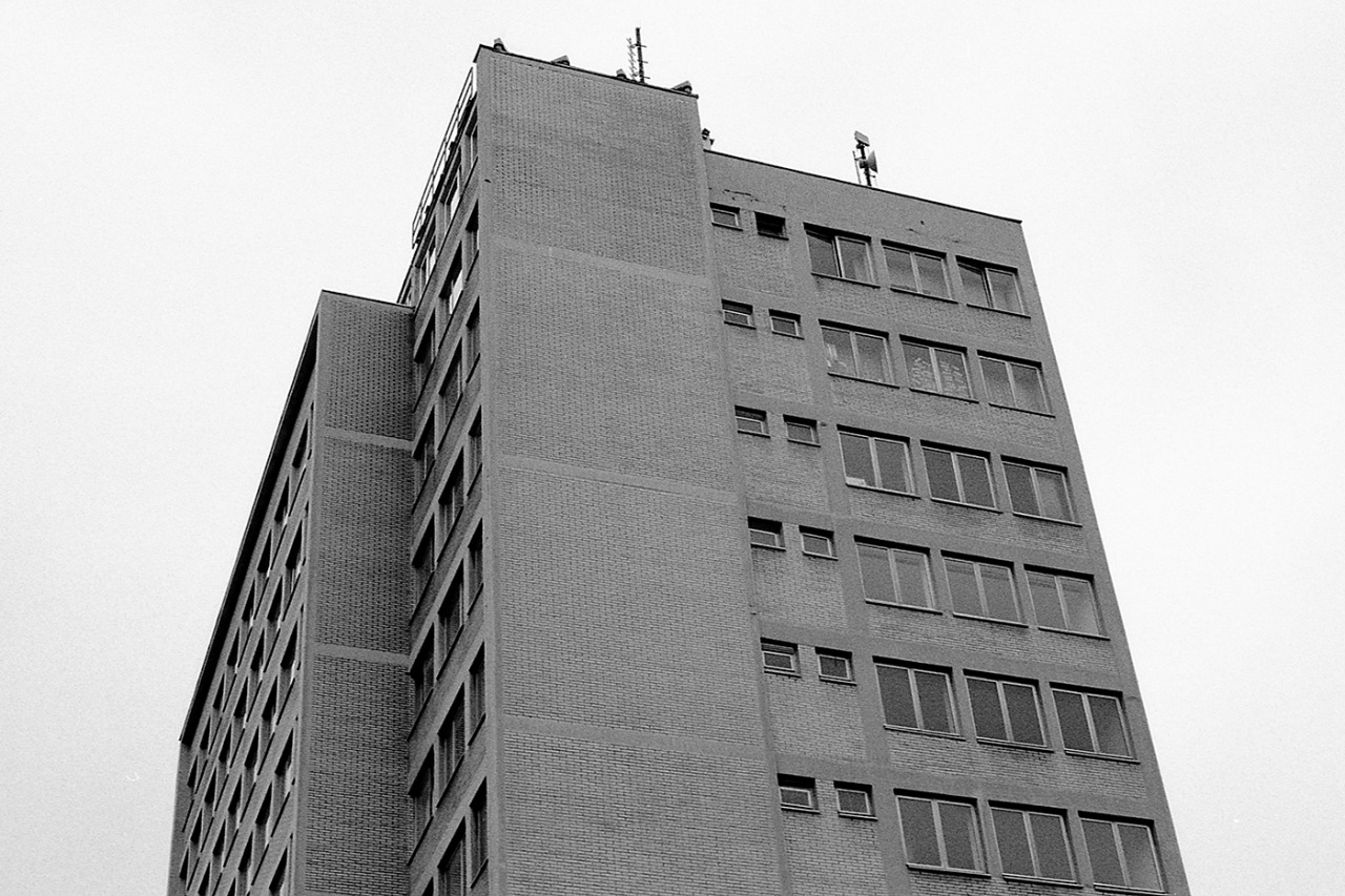 Archillect ID 406502