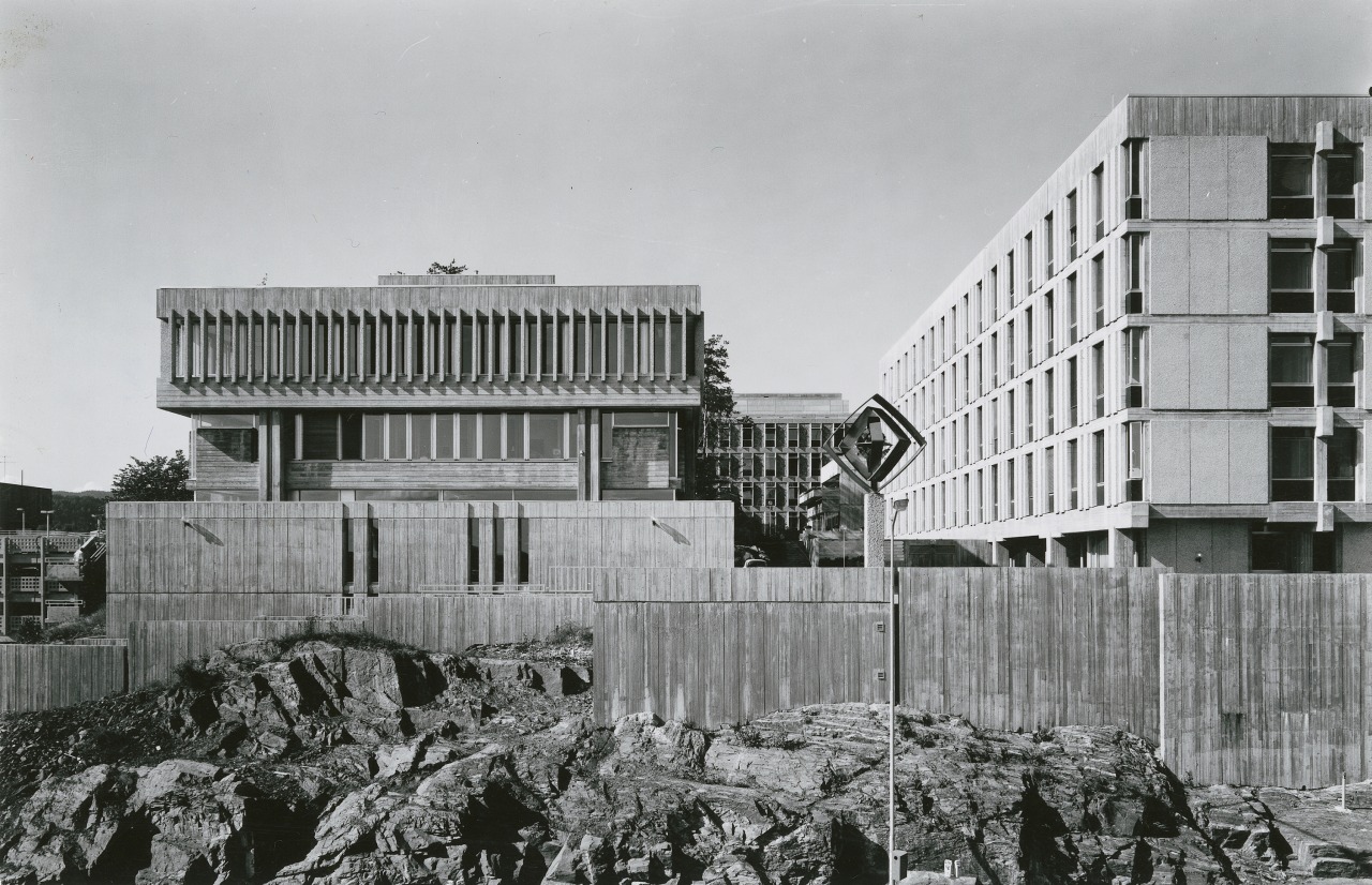 Archillect ID 406515