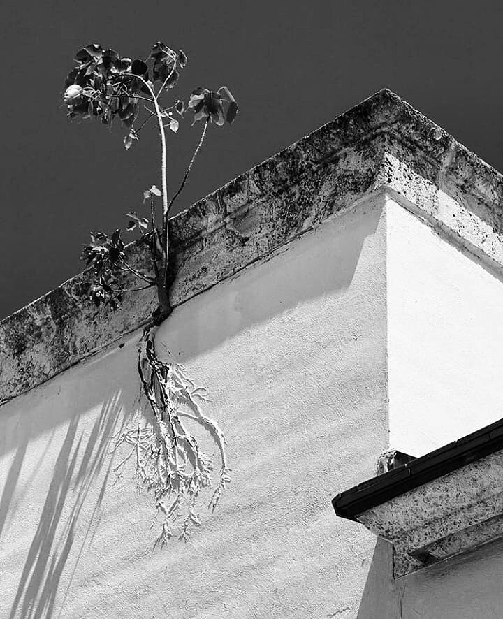 Archillect ID 406552