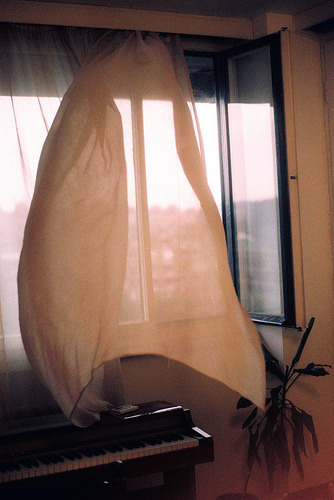 Archillect ID 406560