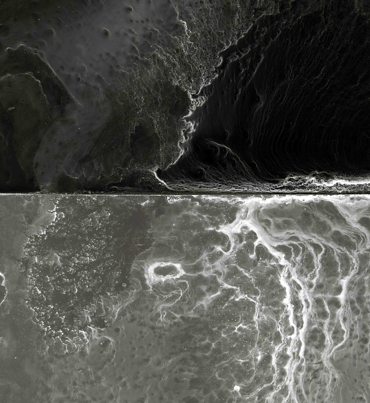 Archillect ID 406571