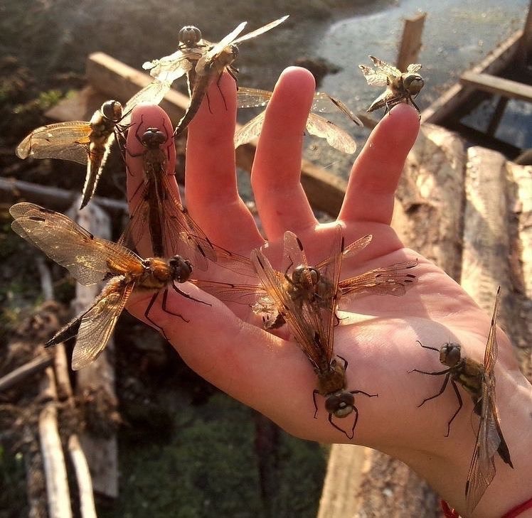 Archillect ID 406588