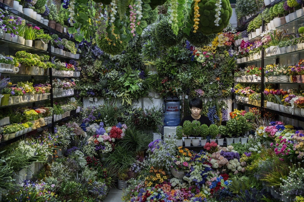 Archillect ID 406651