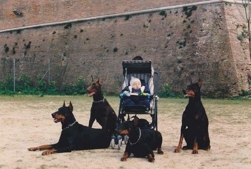 Archillect ID 406653