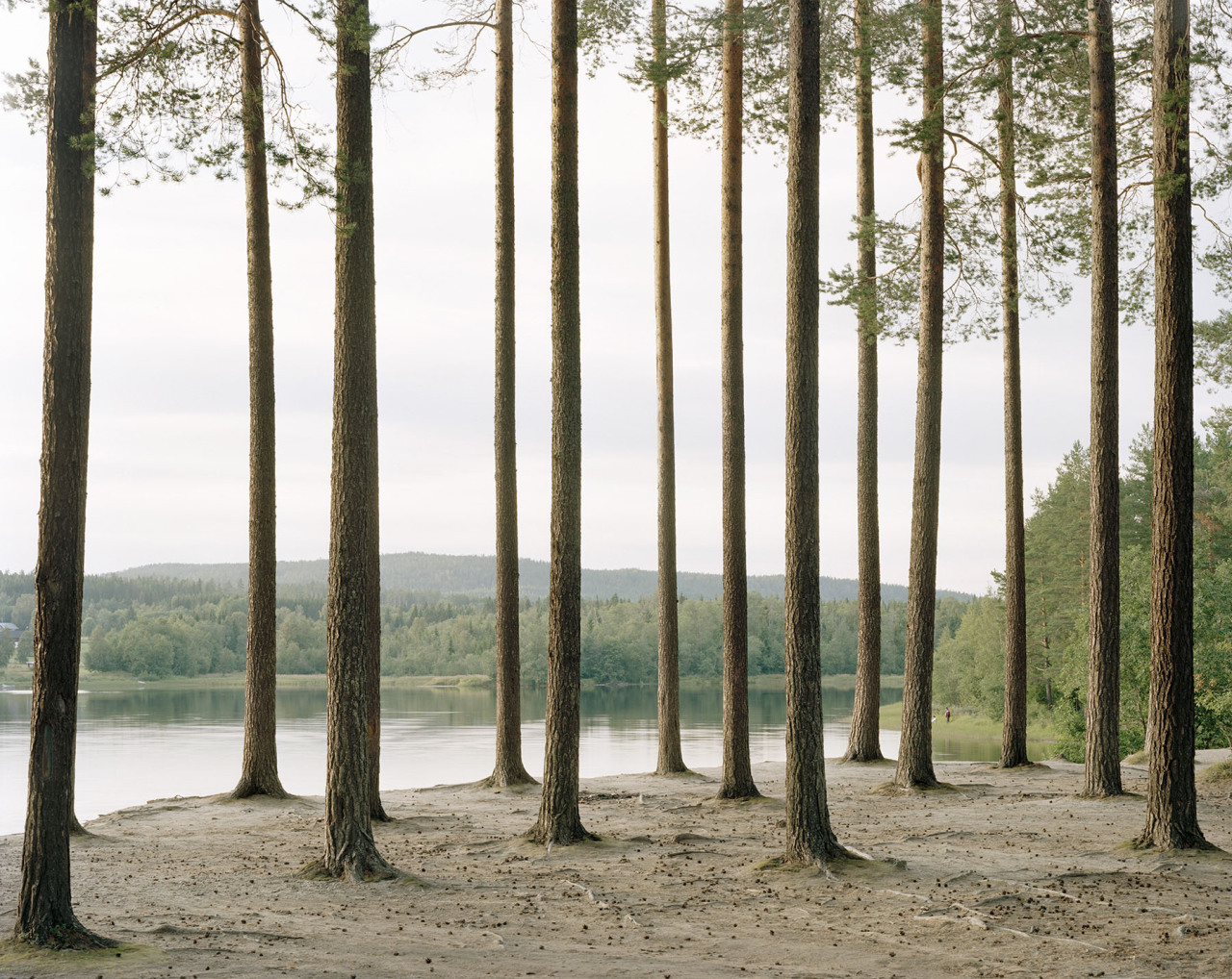 Archillect ID 406664