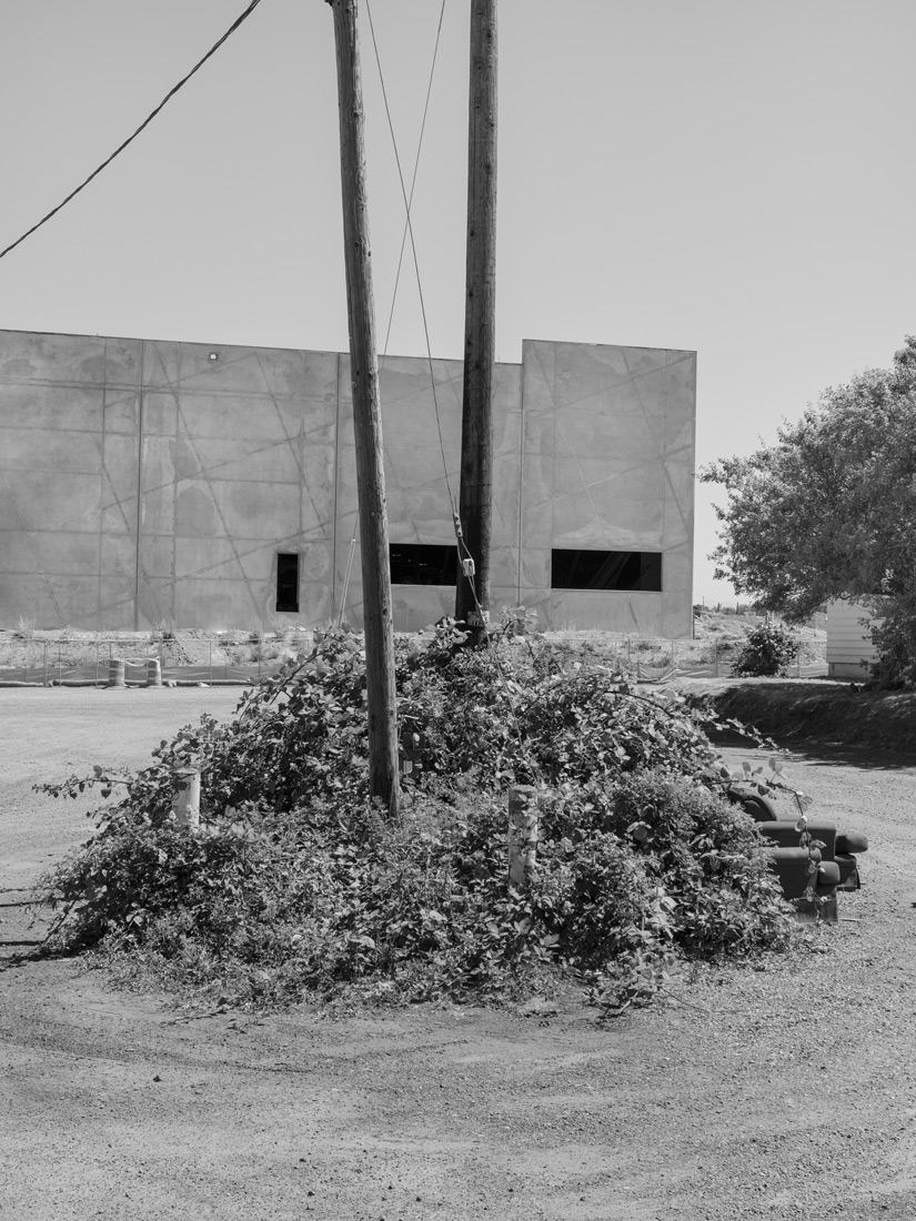 Archillect ID 406687