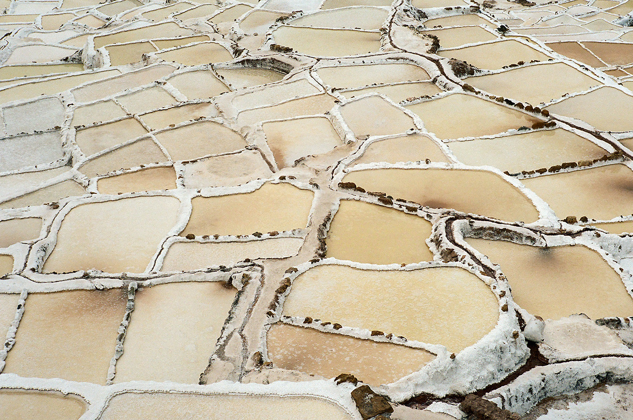 Archillect ID 406730