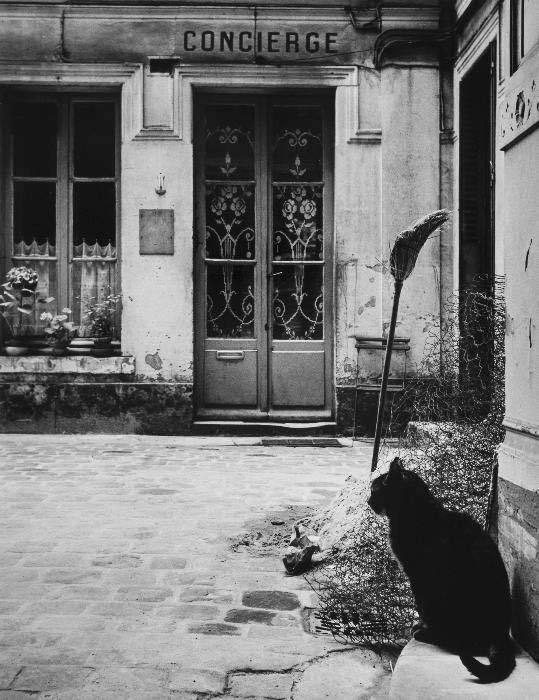 Archillect ID 406748