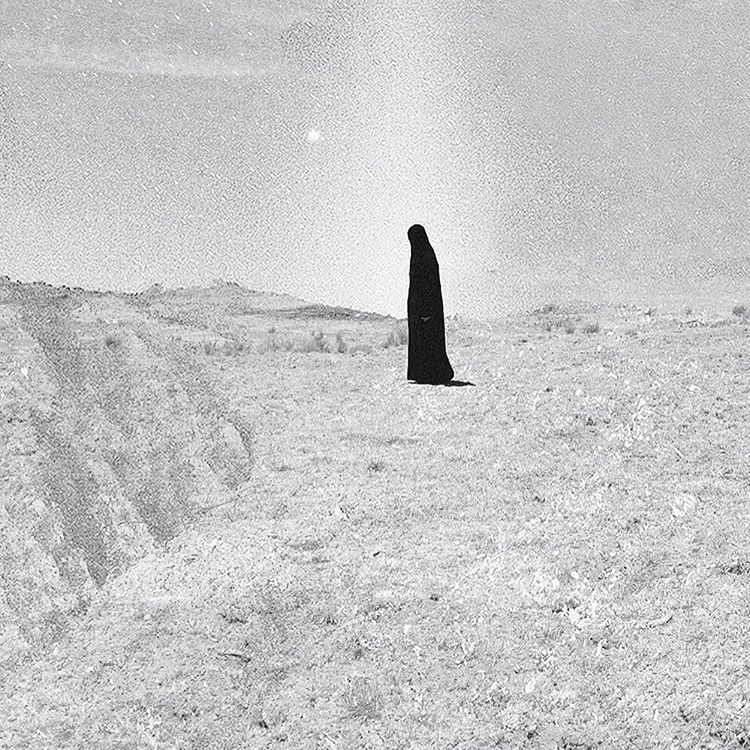 Archillect ID 406780