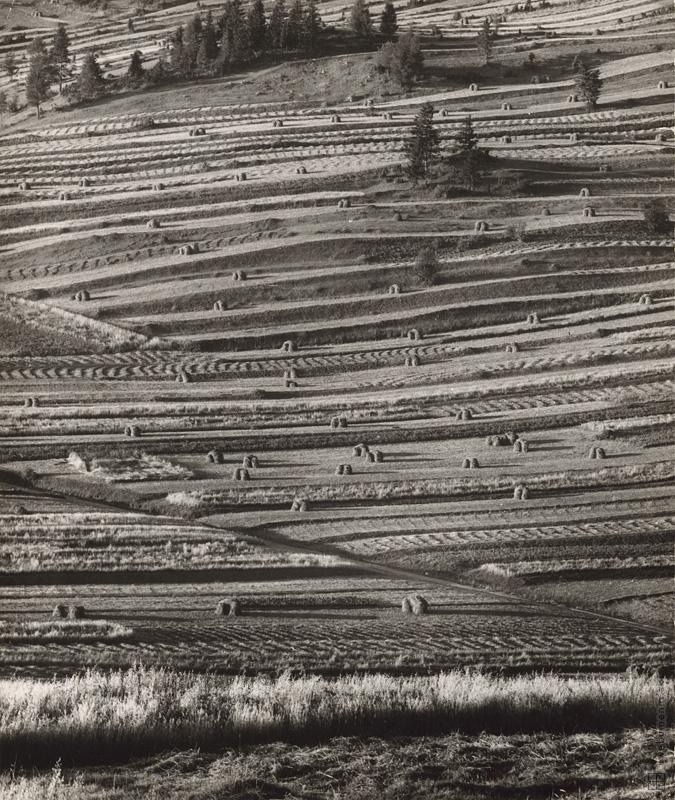 Archillect ID 406792