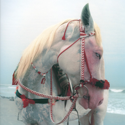 Archillect ID 406806