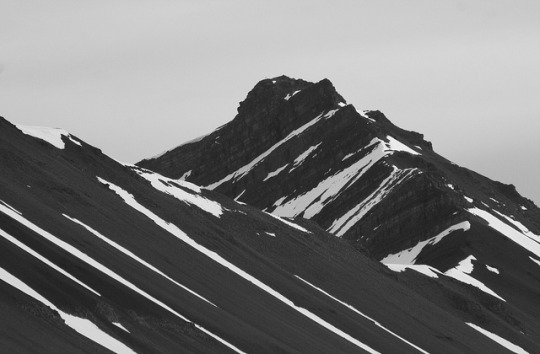 Archillect ID 406867