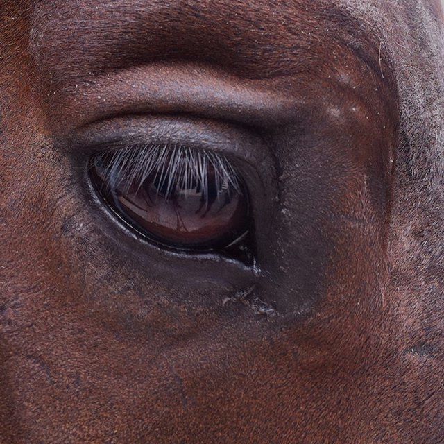 Archillect ID 406869