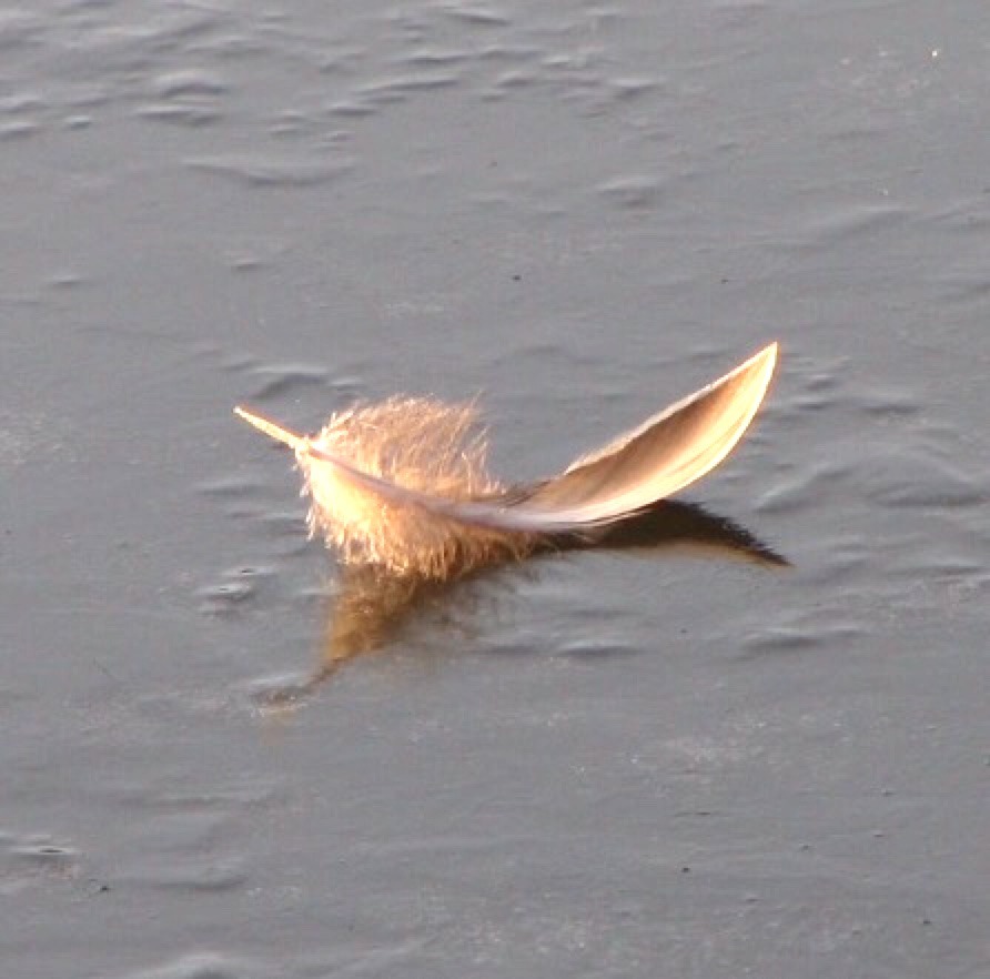 Archillect ID 406881