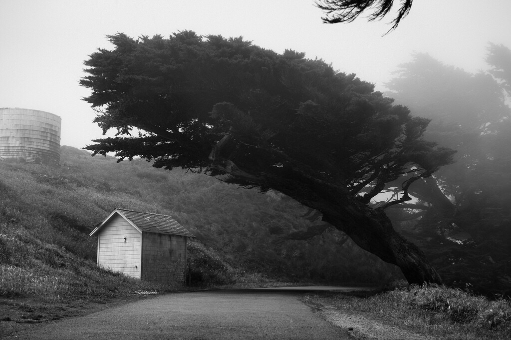 Archillect ID 406901