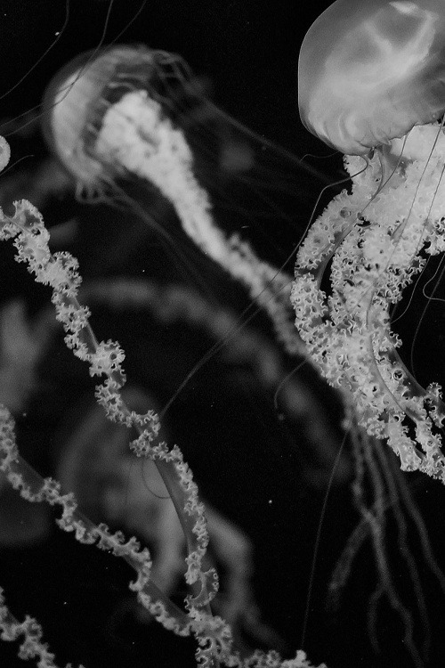 Archillect ID 406917