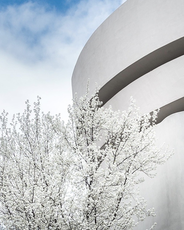 Archillect ID 406918