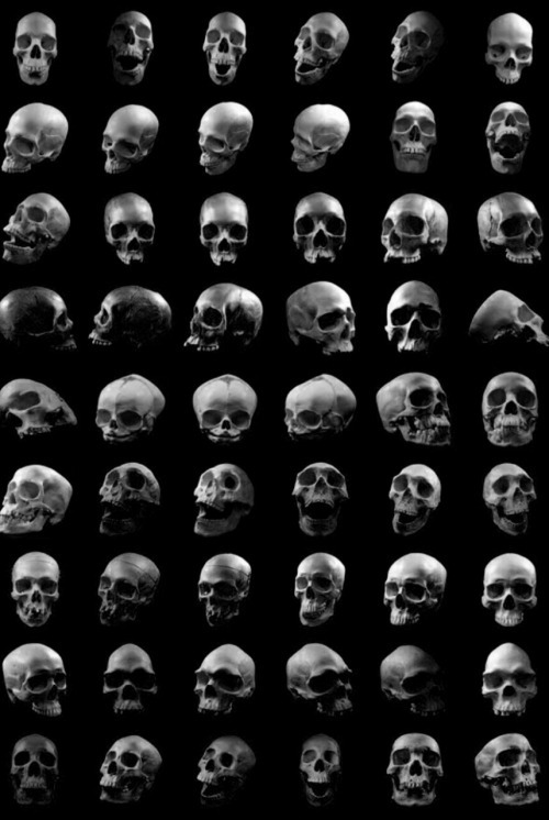 Archillect ID 407011