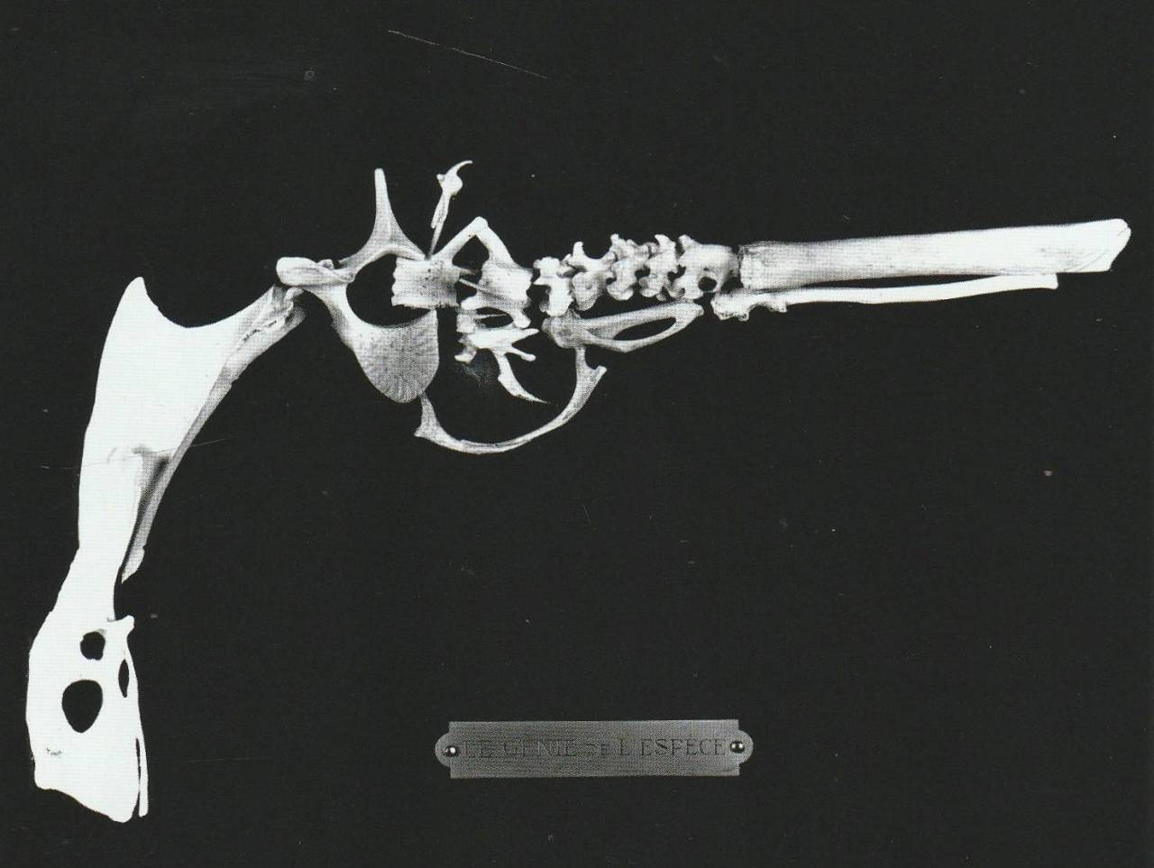 Archillect ID 407044