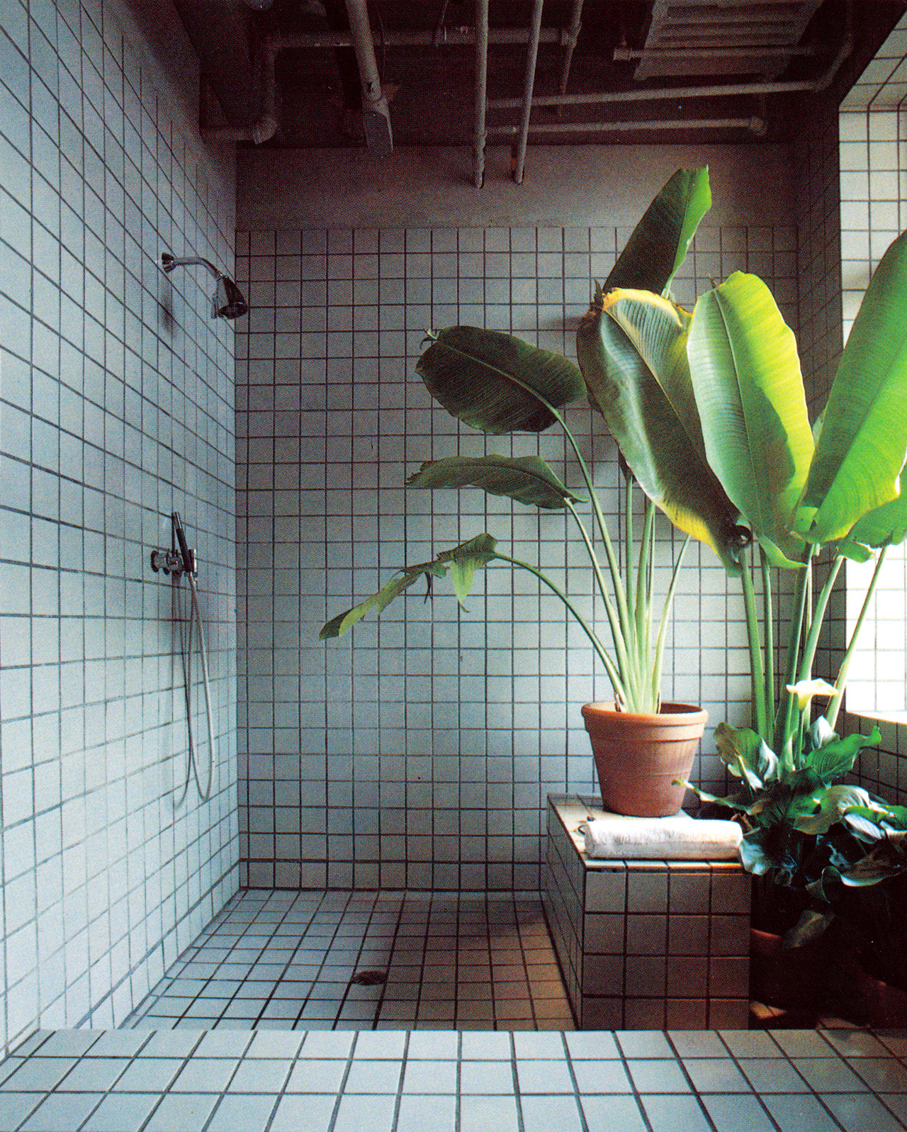 Archillect ID 407045