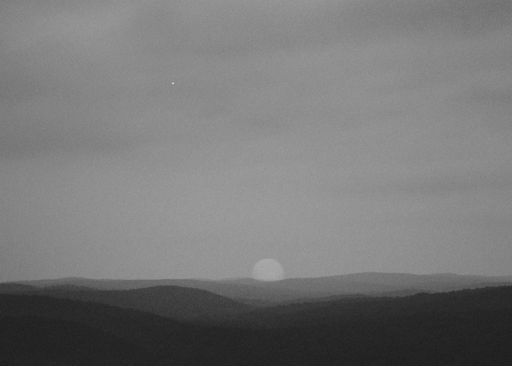 Archillect ID 407053