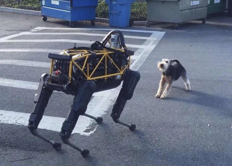 Archillect ID 407078