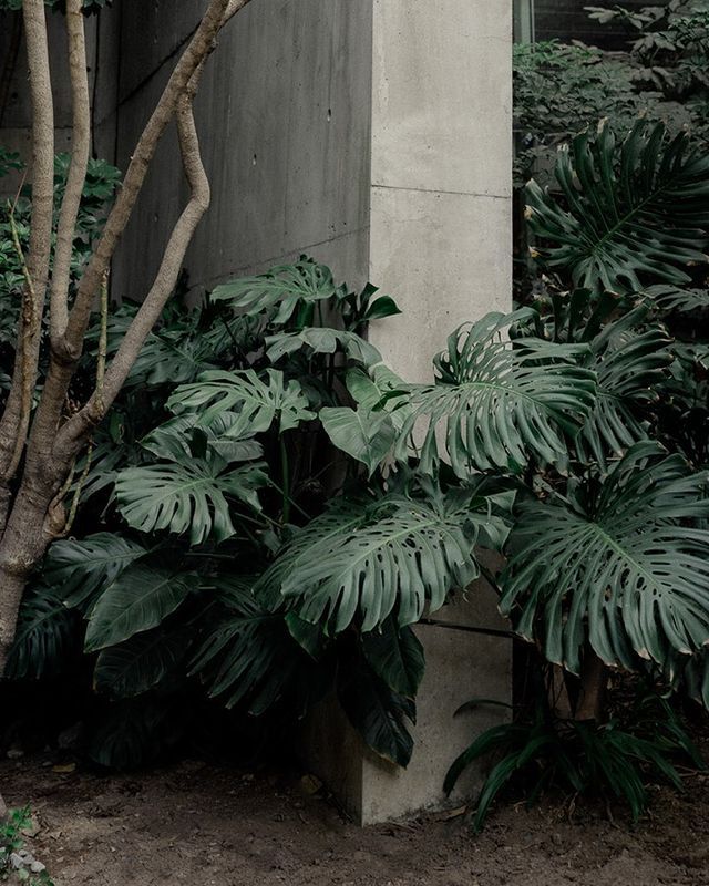 Archillect ID 407097